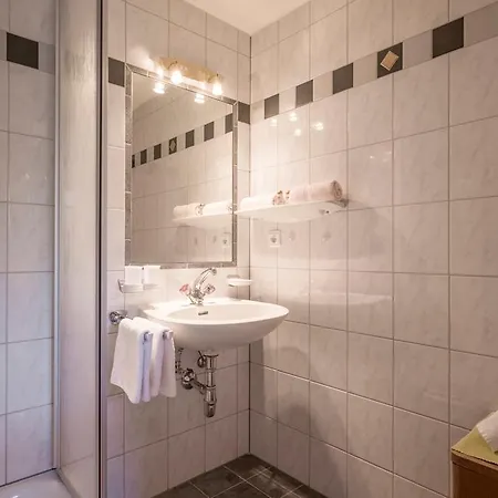 Enzian Hotel 3*