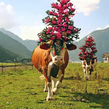 Enzian Hotel Pertisau