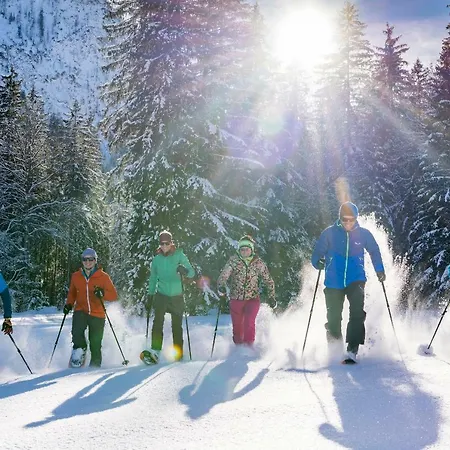 Hotel Enzian Pertisau