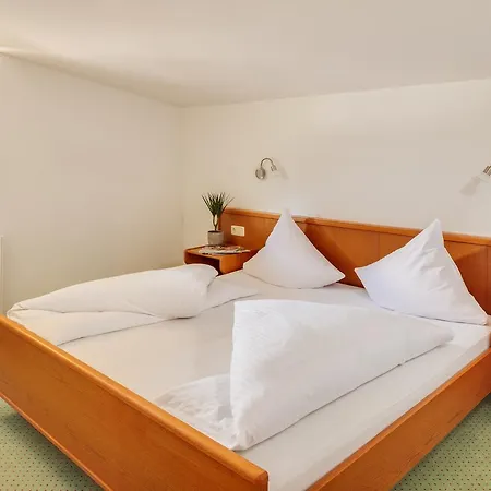 Hotel Enzian 3*
