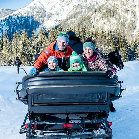 Otel Enzian Pertisau