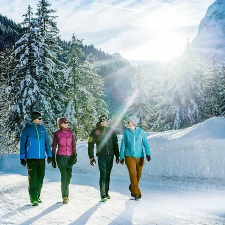 Otel Enzian Pertisau